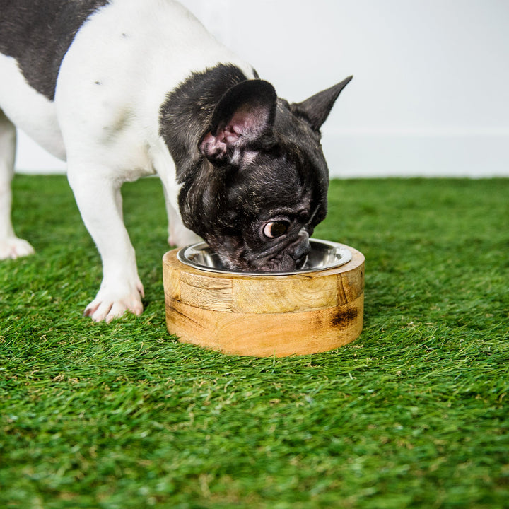 GF Pet Mango Wood Pet Bowl